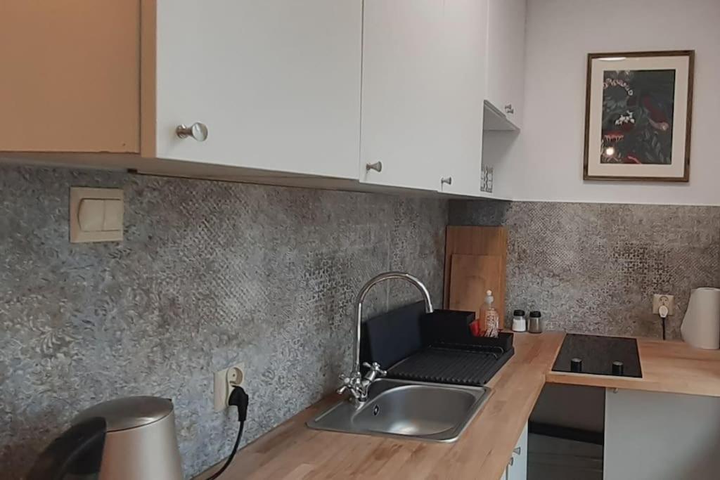 Lemuria Apartament Szkolna Centrum Legnica Exterior photo